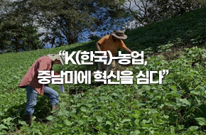 'K-농업, 중남미에 혁신을 심다'